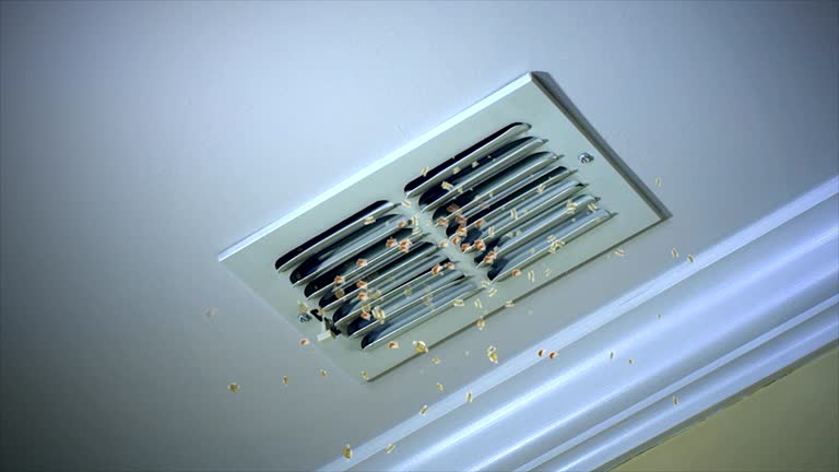 Best HVAC Duct Inspection Services  in Fish Hawk, FL