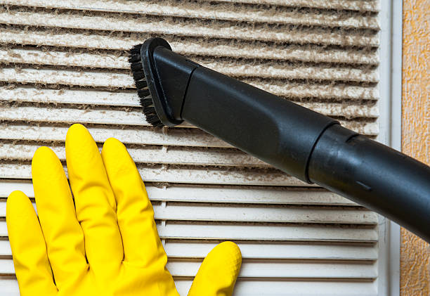 Air Duct Mold Removal in Fish Hawk, FL